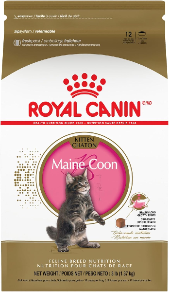 Royal Canin Maine Coon kitten food