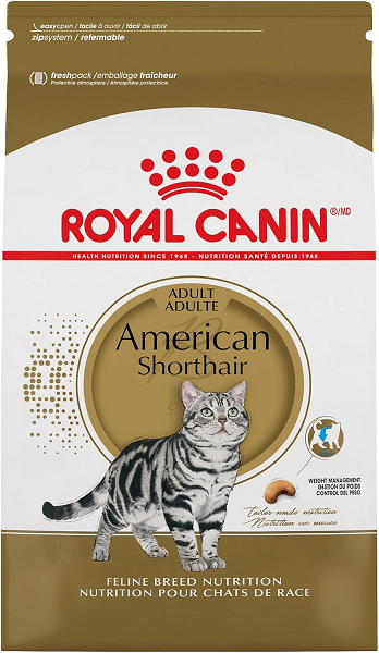 Royal Canin American Shorthair Breed Adult Dry Cat Food