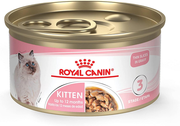 royal cnin kitten wet food